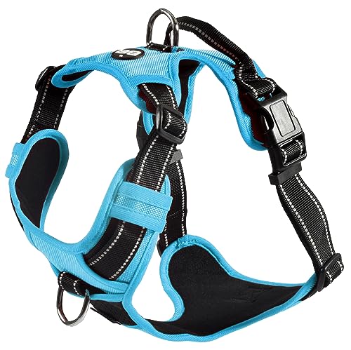 Bobby Rando Walk – Hundegeschirr, Hundegeschirr für mittelgroße, kleine und große Hunde aus Nylon, sicher, bequem, reflektierend, verstellbar, blau, S/32–48 x 1,6 cm Bobby Rando Walk – Hundegeschirr, Hundegeschirr für mittelgroße, kleine und große Hunde aus Nylon, sicher, bequem, reflektierend, verstellbar, blau, S/32–48 x 1,6 cm von Bobby