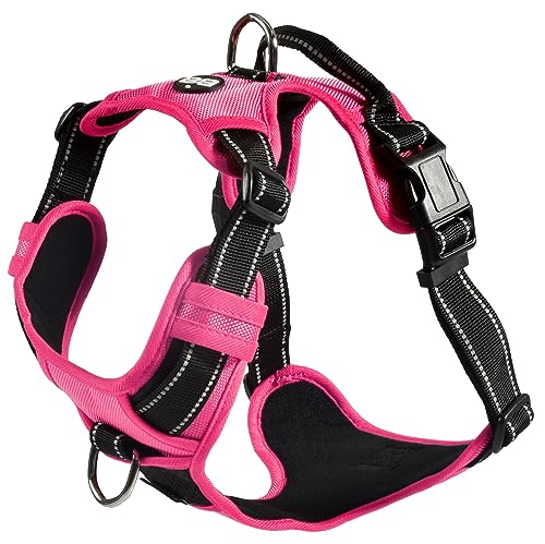Bobby Rando Walk – Hundegeschirr, Hundegeschirr für mittelgroße, kleine und große Hunde aus Nylon, sicher, bequem, reflektierend, verstellbar, Fuchsia, S/32–48 x 1,6 cm von Bobby