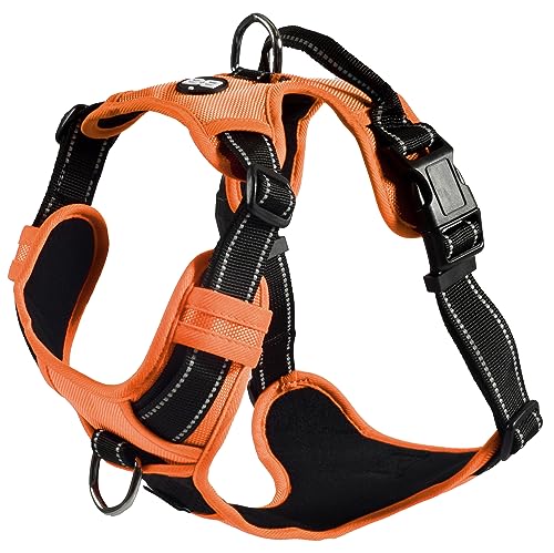 Bobby Rando Walk – Hundegeschirr, Hundegeschirr für mittelgroße, kleine und große Hunde aus Nylon, sicher, bequem, reflektierend, verstellbar, Orange, M/40–63 x 2 cm von Bobby Canifrance