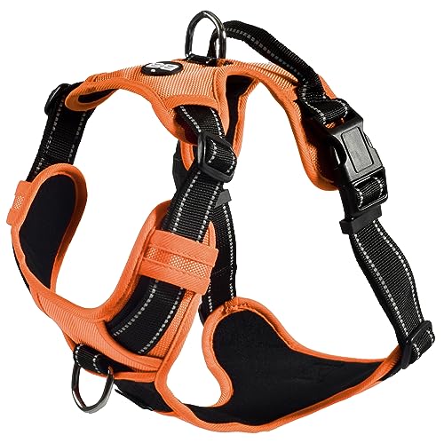 Bobby Rando Walk – Hundegeschirr, Hundegeschirr für mittelgroße, kleine und große Hunde aus Nylon, sicher, bequem, reflektierend, verstellbar, Orange, XL/53–82 x 2,5 cm von Bobby