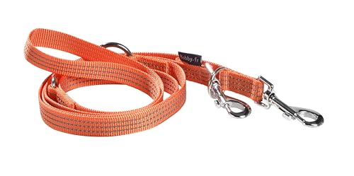 Bobby Safe Leine, 3 Längen, für große Hunde, reflektierend und langlebig, mit doppeltem Sicherheits-Karabiner aus Metall, Orange, Größe L, Länge 180 cm Bobby Safe Leine, 3 Längen, für große Hunde, reflektierend und langlebig, mit doppeltem Sicherheits-Karabiner aus Metall, Orange, Größe L, Länge 180 cm von Bobby Canifrance