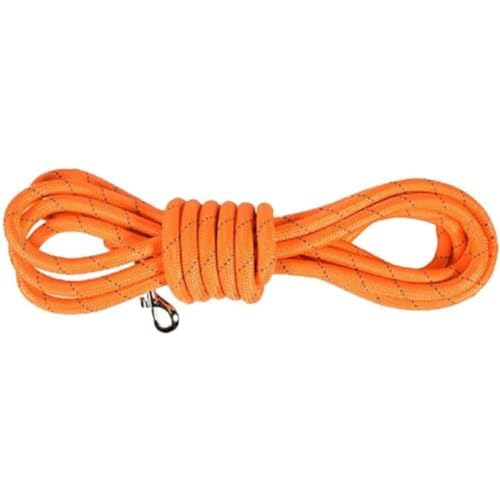 Bobby Walk 3 M – Hundeleine 3 Meter/Stärke 1,2 cm, schlauchförmige Hundeleine, widerstandsfähiges Nylon, Orange, 3 Meter Bobby Walk 3 M – Hundeleine 3 Meter/Stärke 1,2 cm, schlauchförmige Hundeleine, widerstandsfähiges Nylon, Orange, 3 Meter von Bobby Canifrance