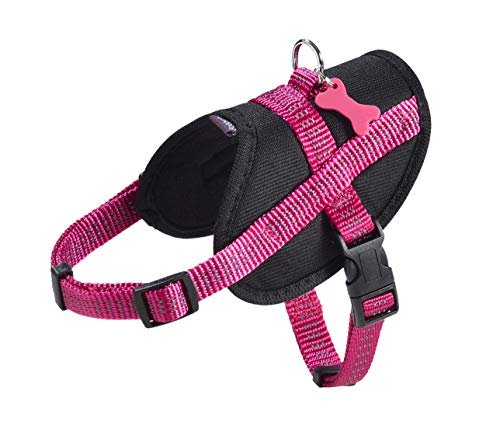 Bobby Easy Safe - Hundegeschirr mit Anhänger, Hundegeschirr für mittelgroße kleine große Hunde aus Nylon, sicher, komfortabel, reflektierend, Fuchsia, 39-50x1,6 cm von Bobby