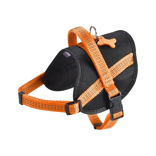 Bobby Easy Safe Hundegeschirr mit Medaille, Größe XXS, aus reflektierendem Nylon mit Mantel, Verstellbarer Schnallenverschluss, Orange, Größe Brustumfang 27-34 cm Bobby Easy Safe Hundegeschirr mit Medaille, Größe XXS, aus reflektierendem Nylon mit Mantel, Verstellbarer Schnallenverschluss, Orange, Größe Brustumfang 27-34 cm von Bobby