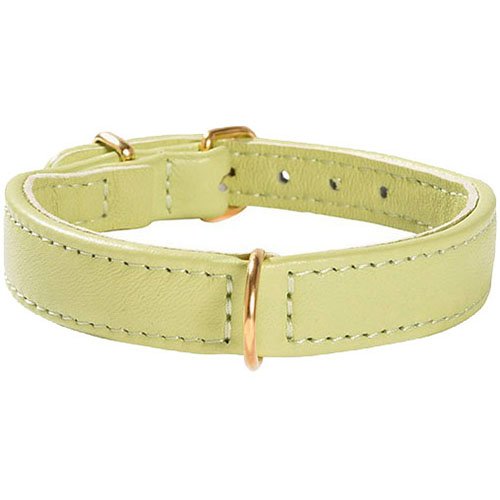 Bobby Halsband Evasion, Größe 40, grün Bobby Halsband Evasion, Größe 40, grün von Bobby
