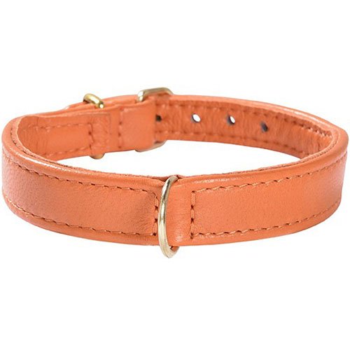 Bobby Halsband Evasion, Größe 45, orange Bobby Halsband Evasion, Größe 45, orange von Bobby