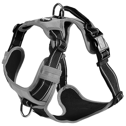 Bobby Rando Walk – Hundegeschirr, Hundegeschirr für mittelgroße, kleine und große Hunde aus Nylon, sicher, bequem, reflektierend, verstellbar, Grau, S/32–48 x 1,6 cm Bobby Rando Walk – Hundegeschirr, Hundegeschirr für mittelgroße, kleine und große Hunde aus Nylon, sicher, bequem, reflektierend, verstellbar, Grau, S/32–48 x 1,6 cm von Bobby