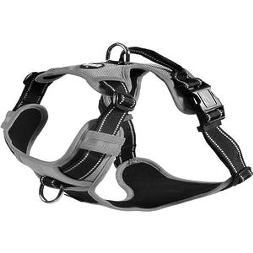 Bobby Rando Walk – Hundegeschirr, Hundegeschirr für mittelgroße, kleine und große Hunde aus Nylon, sicher, bequem, reflektierend, verstellbar, grau, XL/53–82 x 2,5 cm Bobby Rando Walk – Hundegeschirr, Hundegeschirr für mittelgroße, kleine und große Hunde aus Nylon, sicher, bequem, reflektierend, verstellbar, grau, XL/53–82 x 2,5 cm von Bobby