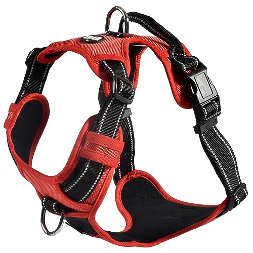 Bobby Rando Walk – Hundegeschirr, Hundegeschirr für mittelgroße, kleine und große Hunde aus Nylon, sicher, bequem, reflektierend, verstellbar, Rot, L/46–70 x 2,5 cm von Bobby