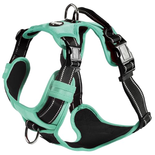 Bobby Rando Walk Hundegeschirr Größe XL, aus reflektierendem Nylon, verstellbare Schnallen mit sicherem Verschluss, einfach zu tragen, Grau Rundhalsausschnitt 53-82 cm, Brustumfang 71-95 cm Bobby Rando Walk Hundegeschirr Größe XL, aus reflektierendem Nylon, verstellbare Schnallen mit sicherem Verschluss, einfach zu tragen, Grau Rundhalsausschnitt 53-82 cm, Brustumfang 71-95 cm von Bobby