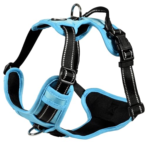 Bobby Rando Walk Hundegeschirr Größe XS, aus reflektierendem Nylon, verstellbare Schnallen mit sicherem Verschluss, einfach zu tragen, Blau, Rundhalsausschnitt 20-32 cm, Brustumfang 36-43 cm Bobby Rando Walk Hundegeschirr Größe XS, aus reflektierendem Nylon, verstellbare Schnallen mit sicherem Verschluss, einfach zu tragen, Blau, Rundhalsausschnitt 20-32 cm, Brustumfang 36-43 cm von Bobby
