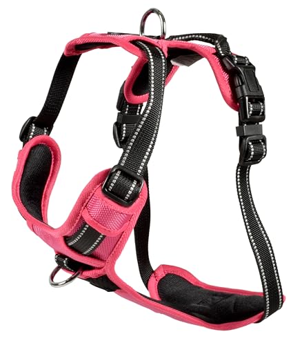 Bobby Rando Walk Hundegeschirr Größe XS, aus reflektierendem Nylon, verstellbare Schnallen mit sicherem Verschluss, einfach zu tragen, Fuchsia Rundhalsausschnitt 20-32 cm, Brustumfang 36-43 cm Bobby Rando Walk Hundegeschirr Größe XS, aus reflektierendem Nylon, verstellbare Schnallen mit sicherem Verschluss, einfach zu tragen, Fuchsia Rundhalsausschnitt 20-32 cm, Brustumfang 36-43 cm von Bobby
