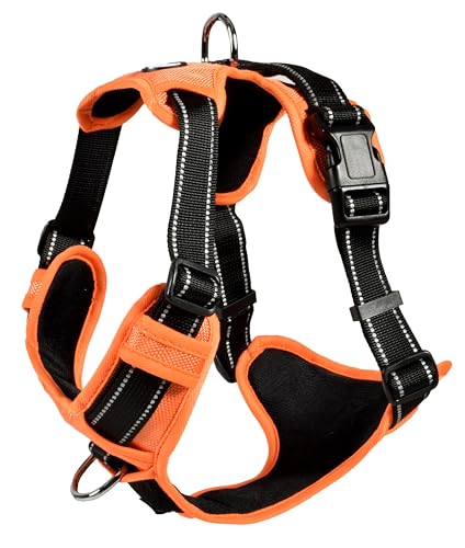 Bobby Rando Walk Hundegeschirr Größe XS, aus reflektierendem Nylon, verstellbare Schnallen mit sicherem Verschluss, einfach zu tragen, Orange Rundhalsausschnitt 20-32 cm, Brustumfang 36-43 cm Bobby Rando Walk Hundegeschirr Größe XS, aus reflektierendem Nylon, verstellbare Schnallen mit sicherem Verschluss, einfach zu tragen, Orange Rundhalsausschnitt 20-32 cm, Brustumfang 36-43 cm von Bobby