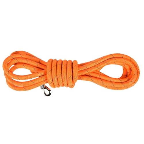 Bobby Walk 10 M – Hundeleine 3 Meter/Stärke 1,2 cm, schlauchförmige Hundeleine, starkes Nylon, Orange, 10 Meter Bobby Walk 10 M – Hundeleine 3 Meter/Stärke 1,2 cm, schlauchförmige Hundeleine, starkes Nylon, Orange, 10 Meter von Bobby