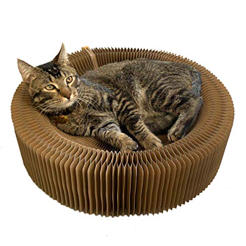 BobbyPet Kratzbett für Katzen, zusammenklappbar, runde Form für große Katzen von BobbyPet