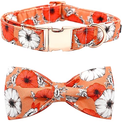 Bobo Rainbow Herbst Hundehalsband, Haustier Halsband Hund Schleife Floral Hundehalsband Mädchen Junge Urlaub Haustier Hundehalsband Geschenk Schleife Hundehalsband Niedlich Weich Welpenhalsband für von Bobo Rainbow