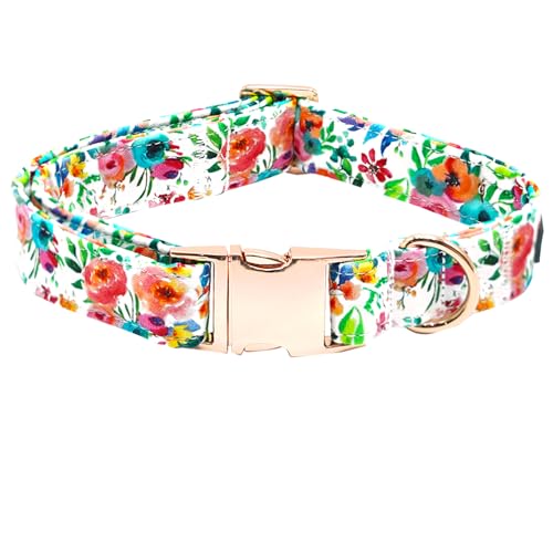Bobo Rainbow Hundehalsband, Blumendruck, langlebiges Metallhalsband, niedliches Hundehalsband, verstellbares Hundehalsband für X-Small Hunde Bobo Rainbow Hundehalsband, Blumendruck, langlebiges Metallhalsband, niedliches Hundehalsband, verstellbares Hundehalsband für X-Small Hunde von Bobo Rainbow