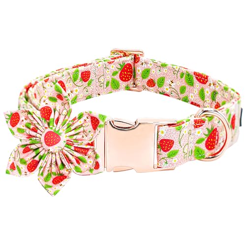 Bobo Rainbow Hundehalsband, Erdbeer-Druck, verstellbar, niedliches Haustierhalsband, weich, rosa, Hundehalsband mit Blume, langlebig, Baumwolle, Welpenhalsband, Metallschnalle, Geschenk für XL-Hunde Bobo Rainbow Hundehalsband, Erdbeer-Druck, verstellbar, niedliches Haustierhalsband, weich, rosa, Hundehalsband mit Blume, langlebig, Baumwolle, Welpenhalsband, Metallschnalle, Geschenk für XL-Hunde von Bobo Rainbow