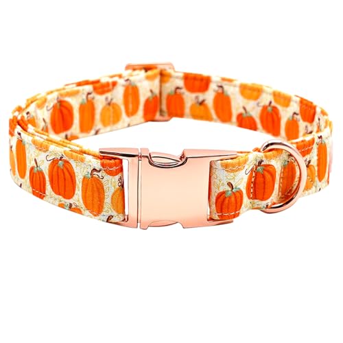 Bobo Rainbow Hundehalsband, Halloween-Hundehalsband, Herbst-Hundehalsband, Kürbis-Druck, Haustierhalsband, langlebiges Metallhalsband, niedliches Hundehalsband, für Jungen und Mädchen, verstellbares Bobo Rainbow Hundehalsband, Halloween-Hundehalsband, Herbst-Hundehalsband, Kürbis-Druck, Haustierhalsband, langlebiges Metallhalsband, niedliches Hundehalsband, für Jungen und Mädchen, verstellbares von Bobo Rainbow