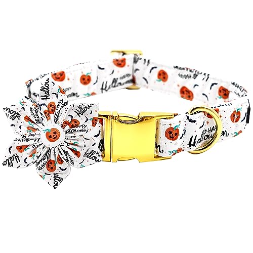 Bobo Rainbow Hundehalsband, Halloween Hundehalsband mit Blume Kürbis Haustier Halsband Blume Welpen Halsbänder Niedliche Haustier Blume Einstellbar Hundehalsband für Kleine Hunde von Bobo Rainbow