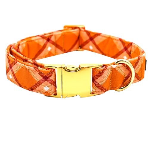 Bobo Rainbow Hundehalsband, Herbst-Hundehalsband, orangefarbenes Karomuster, langlebiges Metallhalsband, niedliches Hundehalsband für Mädchen und Jungen, verstellbares Hundehalsband für X-Small Hunde Bobo Rainbow Hundehalsband, Herbst-Hundehalsband, orangefarbenes Karomuster, langlebiges Metallhalsband, niedliches Hundehalsband für Mädchen und Jungen, verstellbares Hundehalsband für X-Small Hunde von Bobo Rainbow