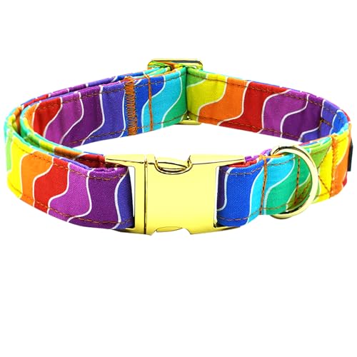 Bobo Rainbow Hundehalsband, Regenbogen-Hundehalsband, LGBT für Stolzmonat, langlebiges Metall, Haustierhalsband, niedliches Mädchen, Jungen, Hundehalsbänder, verstellbares Hundehalsband für kleine, Bobo Rainbow Hundehalsband, Regenbogen-Hundehalsband, LGBT für Stolzmonat, langlebiges Metall, Haustierhalsband, niedliches Mädchen, Jungen, Hundehalsbänder, verstellbares Hundehalsband für kleine, von Bobo Rainbow