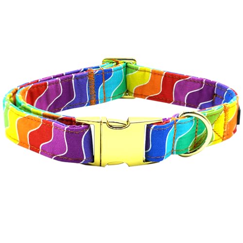 Bobo Rainbow Hundehalsband, Regenbogen-Hundehalsband, LGBT für Stolzmonat, langlebiges Metall, Haustierhalsband, niedliches Mädchen, Jungen, Hundehalsbänder, verstellbares Hundehalsband für kleine, von Bobo Rainbow