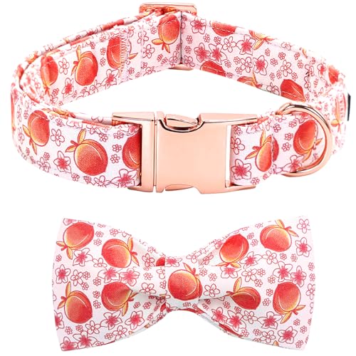Bobo Rainbow Hundehalsband, Rosa, pfirsichfarben, verstellbar, weich, niedlich, Blume, Haustierhalsband, Frühling, Baumwolle, Welpenhalsband mit Fliege, Geschenk für mittelgroße Hunde Bobo Rainbow Hundehalsband, Rosa, pfirsichfarben, verstellbar, weich, niedlich, Blume, Haustierhalsband, Frühling, Baumwolle, Welpenhalsband mit Fliege, Geschenk für mittelgroße Hunde von Bobo Rainbow