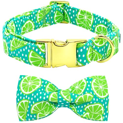 Bobo Rainbow Hundehalsband, Zitronenmuster, verstellbar, grün, niedlich, Baumwolle, weiche Halsbänder mit Fliege, Frühling Sommer, Metallschnalle, Welpenhalsband, Geschenk für große Hunde Bobo Rainbow Hundehalsband, Zitronenmuster, verstellbar, grün, niedlich, Baumwolle, weiche Halsbänder mit Fliege, Frühling Sommer, Metallschnalle, Welpenhalsband, Geschenk für große Hunde von Bobo Rainbow