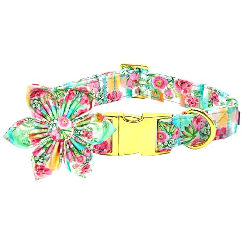 Bobo Rainbow Hundehalsband, rosa Blumendruck, Haustierhalsband, niedliches Mädchen, Hundehalsband mit Blume, verstellbare Metallschnalle, Halsband, Geschenkhalsband für mittelgroße Hunde Bobo Rainbow Hundehalsband, rosa Blumendruck, Haustierhalsband, niedliches Mädchen, Hundehalsband mit Blume, verstellbare Metallschnalle, Halsband, Geschenkhalsband für mittelgroße Hunde von Bobo Rainbow