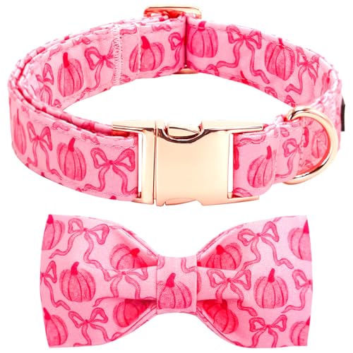 Bobo Rainbow Hundehalsband, rosa Kürbisdruck, verstellbar, niedlich, Baumwolle, weiche Halsbänder mit Fliege, Herbst-Metallschnalle, Urlaub, Welpenhalsband, Geschenk für Jungen und Mädchen, Geschenk Bobo Rainbow Hundehalsband, rosa Kürbisdruck, verstellbar, niedlich, Baumwolle, weiche Halsbänder mit Fliege, Herbst-Metallschnalle, Urlaub, Welpenhalsband, Geschenk für Jungen und Mädchen, Geschenk von Bobo Rainbow