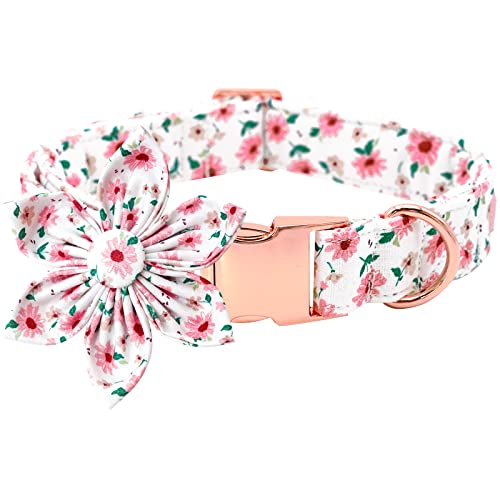 Bobo Rainbow Hundehalsband - Rosa Hundehalsband mit Blume für Hunde Blumen Verstellbares Hundehalsband Mädchen Haustier Geschenk Hundehalsband für Mittlere Kleine Große Hunde von Bobo Rainbow