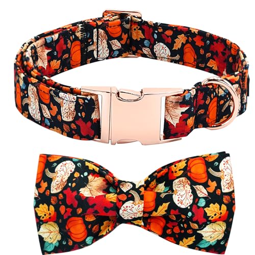Bobo Rainbow Hundehalsband für den Herbst, Blatt-Kürbis-Druck, verstellbar, niedlich, Baumwolle, weiche Halsbänder mit Fliege, Metallschnalle, Urlaub, Welpenhalsbänder, Geschenk für Jungen und Mädchen von Bobo Rainbow