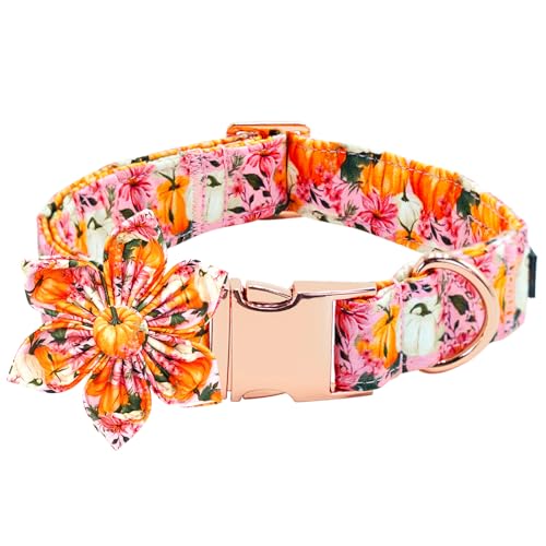 Bobo Rainbow Hundehalsband für den Herbst, rosa Blume, Kürbisdruck, verstellbar, niedlich, Baumwolle, weiche Halsbänder mit Blume, Metallschnalle, Urlaub, Welpenhalsband, Geschenk für mittelgroße von Bobo Rainbow