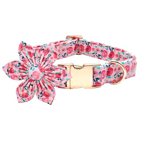 Bobo Rainbow Hundehalsband mit niedlichem rosa Blumendruck, weiches Mädchen-Hundehalsband mit Blume, verstellbare Metallschnalle, Halsband, Geschenkhalsband für mittelgroße Hunde Bobo Rainbow Hundehalsband mit niedlichem rosa Blumendruck, weiches Mädchen-Hundehalsband mit Blume, verstellbare Metallschnalle, Halsband, Geschenkhalsband für mittelgroße Hunde von Bobo Rainbow