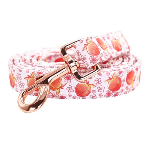 Bobo Rainbow Hundeleine, rosa Pfirsichdruck, für Jungen/Mädchen, langlebig, robust, strapazierfähig, bequem, gepolstert, Welpenleine für kleine, mittelgroße und große Hunde Bobo Rainbow Hundeleine, rosa Pfirsichdruck, für Jungen/Mädchen, langlebig, robust, strapazierfähig, bequem, gepolstert, Welpenleine für kleine, mittelgroße und große Hunde von Bobo Rainbow