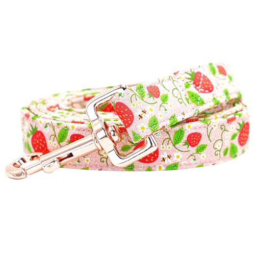 Bobo Rainbow Hundeleine – Rosa Erdbeerdruck, langlebig, strapazierfähig, bequem gepolstert für kleine bis große Hunde Bobo Rainbow Hundeleine – Rosa Erdbeerdruck, langlebig, strapazierfähig, bequem gepolstert für kleine bis große Hunde von Bobo Rainbow