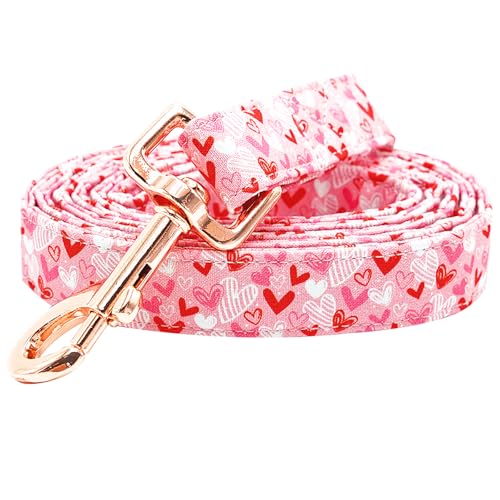 Bobo Rainbow Hundeleine – Valentinstag & Urlaub, Herz-Druck, langlebig und stark, strapazierfähig, bequem gepolstert für kleine, mittelgroße und große Hunde Bobo Rainbow Hundeleine – Valentinstag & Urlaub, Herz-Druck, langlebig und stark, strapazierfähig, bequem gepolstert für kleine, mittelgroße und große Hunde von Bobo Rainbow
