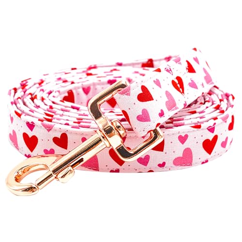 Bobo Rainbow Hundeleine – Valentinstags- und Urlaubsleine mit rotem Herzdruck, langlebig und stark, strapazierfähig, bequem gepolstert für kleine, mittelgroße und große Hunde Bobo Rainbow Hundeleine – Valentinstags- und Urlaubsleine mit rotem Herzdruck, langlebig und stark, strapazierfähig, bequem gepolstert für kleine, mittelgroße und große Hunde von Bobo Rainbow