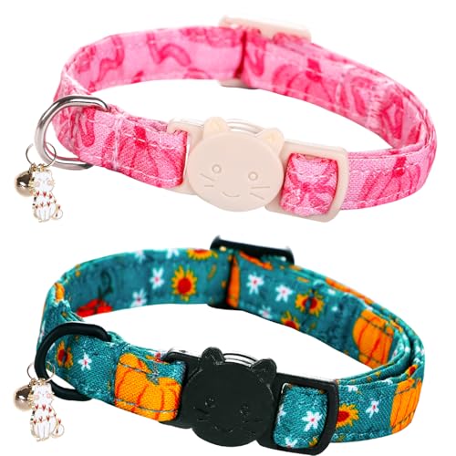 Bobo Rainbow Katzenhalsband, 2 Stück, Kürbisdruck, Breakaway mit Kätzchen und Glockenanhänger, Sicherheitsschnalle, verstellbares Haustierhalsband für Katzen, Geschenk für Katzen und kleine Haustiere von Bobo Rainbow