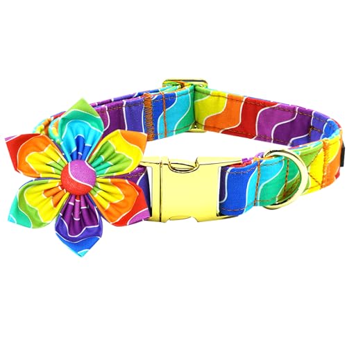 Bobo Rainbow Regenbogen-Hundehalsband, Regenbogenstreifen, Halsband mit Blume für LGBT Pride Monat, Urlaub, Hundehalsband, Blumen, verstellbares Halsband für kleine, mittelgroße und große Hunde von Bobo Rainbow