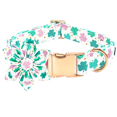 Bobo Rainbow St Patrick's Hundehalsband mit Blumen-Dreiblatt-Hundehalsband, verstellbar, niedlich, Haustierhalsband, Baumwollkleeblatt, Hundehalsband, Urlaub, Welpenhalsband, Metallschnalle, Geschenk Bobo Rainbow St Patrick's Hundehalsband mit Blumen-Dreiblatt-Hundehalsband, verstellbar, niedlich, Haustierhalsband, Baumwollkleeblatt, Hundehalsband, Urlaub, Welpenhalsband, Metallschnalle, Geschenk von Bobo Rainbow
