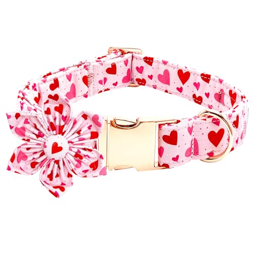 Bobo Rainbow Valentinstag Hundehalsband mit Blumen-Rotem Herz Hundehalsband Niedlich Einstellbar Haustier Halsband Weich Bequem Hundehalsband Baumwolle Urlaub Welpenhalsband Metallschnalle Halsband Bobo Rainbow Valentinstag Hundehalsband mit Blumen-Rotem Herz Hundehalsband Niedlich Einstellbar Haustier Halsband Weich Bequem Hundehalsband Baumwolle Urlaub Welpenhalsband Metallschnalle Halsband von Bobo Rainbow