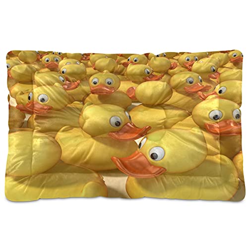 Boccsty 3D-Gummienten Haustierbett-Matte Corgi Hund Tier Hund Katze Kiste Matte Hundebett 61 x 91 cm Haustier Kissen Kissen Kissen Pad für mittelgroße kleine Welpen Schlafen Boccsty 3D-Gummienten Haustierbett-Matte Corgi Hund Tier Hund Katze Kiste Matte Hundebett 61 x 91 cm Haustier Kissen Kissen Kissen Pad für mittelgroße kleine Welpen Schlafen von Boccsty