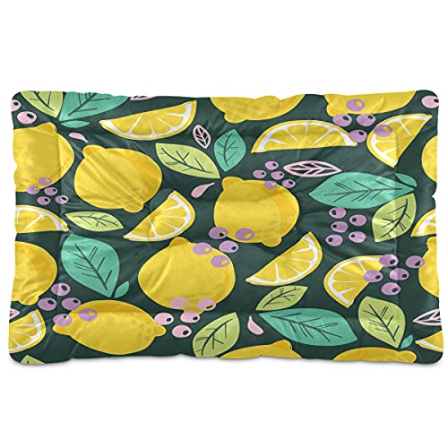 Boccsty Fresh Lemons Haustierbett, Trauben, Früchte, Blätter, Hundebett, 61 x 91 cm, Haustierkissen, Kissen für mittelgroße und kleine Welpen Boccsty Fresh Lemons Haustierbett, Trauben, Früchte, Blätter, Hundebett, 61 x 91 cm, Haustierkissen, Kissen für mittelgroße und kleine Welpen von Boccsty