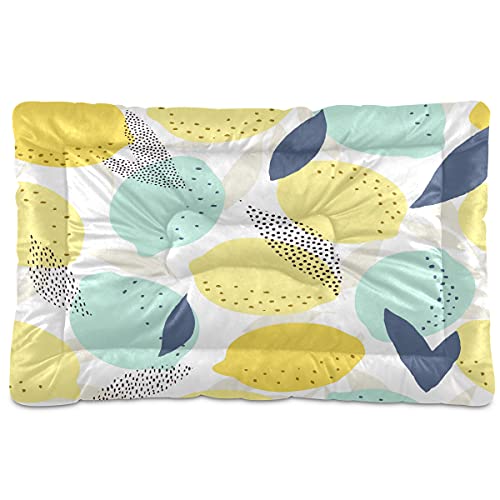 Boccsty Fresh Lemons Haustierbett-Matte, abstrakte Blätter, Hundebett, 61 x 91 cm, Haustierkissen, Kissen für mittelgroße und kleine Welpen von Boccsty