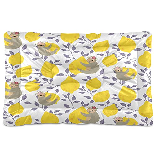 Boccsty Haustierbett, Motiv: niedliche Faultiere, gelbe Zitronen, tropische Blätter, Hundebett, 45,7 x 61 cm, Haustierkissen, Kissen für mittelgroße und kleine Welpen Boccsty Haustierbett, Motiv: niedliche Faultiere, gelbe Zitronen, tropische Blätter, Hundebett, 45,7 x 61 cm, Haustierkissen, Kissen für mittelgroße und kleine Welpen von Boccsty