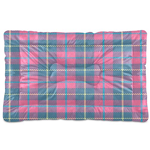 Boccsty Haustierbett, Schottland, kariert, gestreift, für kleine Hunde und Katzen, 45,7 x 61 cm, Rosa / Blau Boccsty Haustierbett, Schottland, kariert, gestreift, für kleine Hunde und Katzen, 45,7 x 61 cm, Rosa / Blau von Boccsty