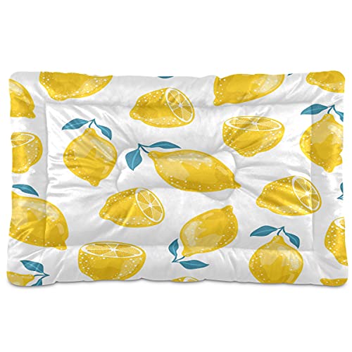 Boccsty Haustierbett, Sommermuster, Zitronenmuster, Obstblätter, Hundebett, 45,7 x 61 cm, Haustierkissen, Kissen für mittelgroße und kleine Welpen von Boccsty