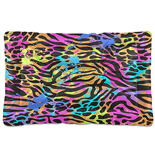 Boccsty Haustierbett, buntes Zebramuster, Leopardenmuster, Hundebett, 61 x 91 cm, Kissen für mittelgroße und kleine Welpen Boccsty Haustierbett, buntes Zebramuster, Leopardenmuster, Hundebett, 61 x 91 cm, Kissen für mittelgroße und kleine Welpen von Boccsty